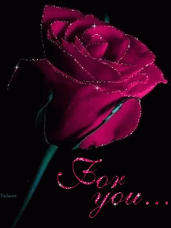 Flower Rose GIF - Flower Rose For You GIFs