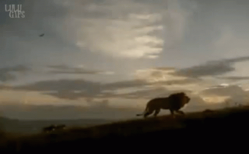 The Lion King Simba GIF - The Lion King Lion King Simba GIFs