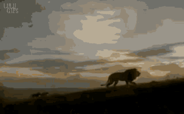 a lion walking on top of a hill with a cloudy sky in the background and the word gifs at the bottom