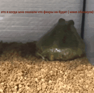 a frog is sitting on a pile of gravel under a sign that says это я когда мне сказал