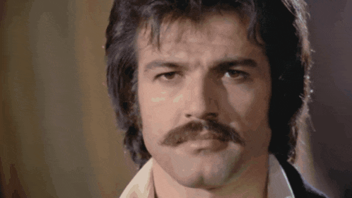 a man with a mustache is looking at the camera with a serious look on his face
