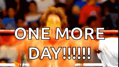 a man in a boxing ring says one more day !!!