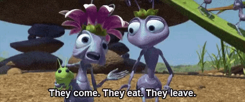 a couple of ants are standing next to each other with the words they come they eat they leave .