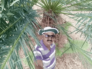 a man wearing sunglasses and a striped shirt is standing in front of a palm tree