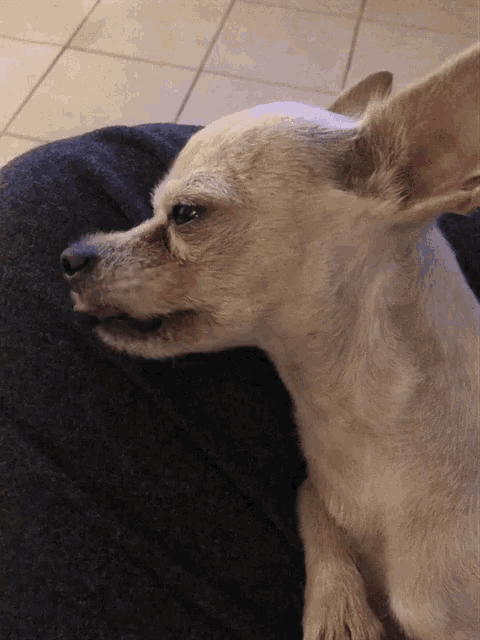 Aburrida Estoy GIF