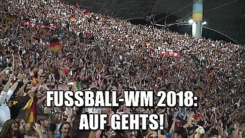 Fussball Wm 2018 GIF - Auf Gehts Fußball Weltmeisterschaft GIFs