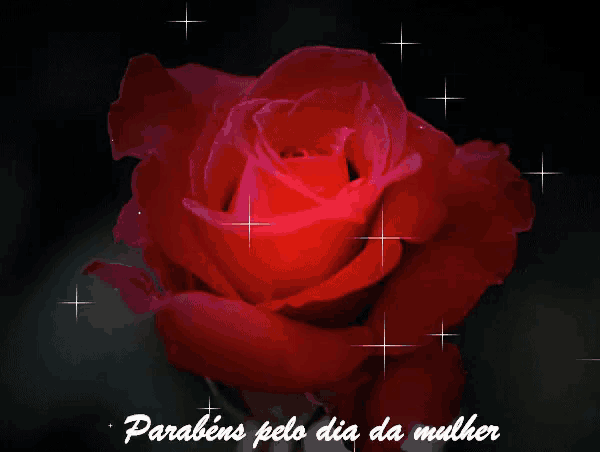 a red rose with the words parabéns pelo dia da mulher on the bottom