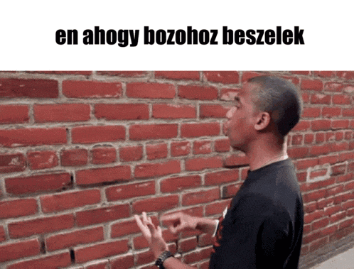 a man standing in front of a red brick wall with the words en ahogy bozohoz beszelek on the bottom