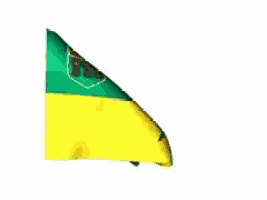 a green and yellow flag with a red flower and leaves