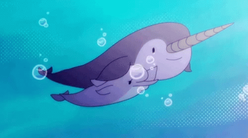 Narwhal Dolphin GIF - Narwhal Dolphin Laugh GIFs