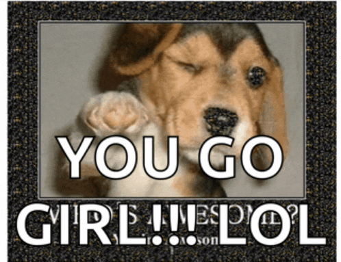 a picture of a puppy with the words you go girl lol