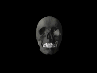 Follow Me At Happytimesneverending I Follow Back :-) GIF - Skulls Skull Cool GIFs