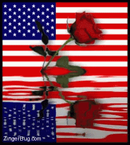 Us Flag Rose GIF - Us Flag Rose Flower GIFs