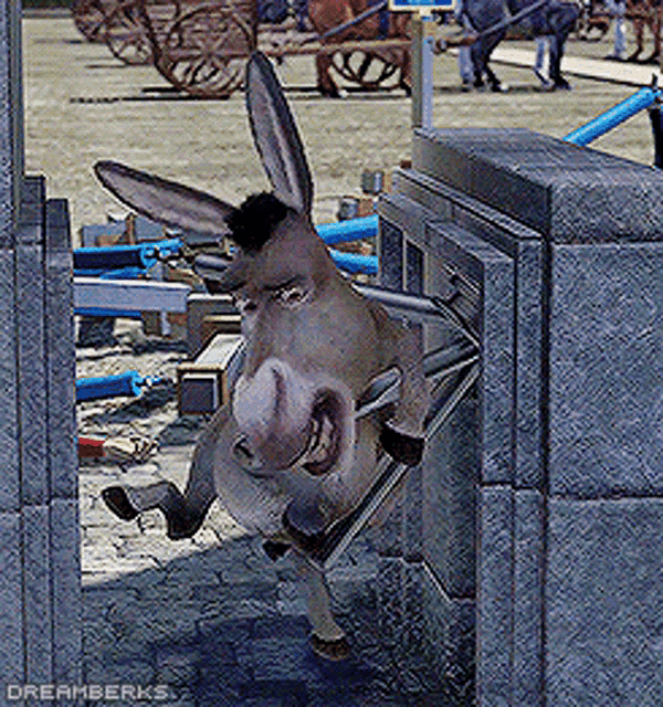 Donkey Shrek GIF - Donkey Shrek Duloc GIFs