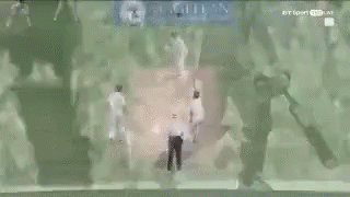 James Vince Cover Drive GIF - James Vince Cover Drive Mitchell Starc GIFs
