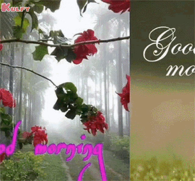 a good morning greeting card with red flowers in a forest