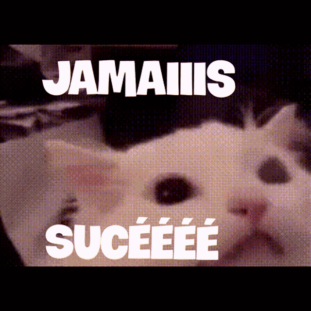 a picture of a cat with the words " jamais suceeee " written on it
