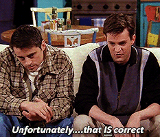 Unfortunately...That Is Correct GIF - Friends Joey Chandler GIFs