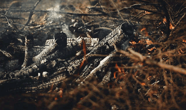 a pile of burning logs with smoke coming out of the top