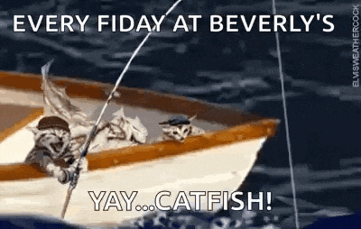 two cats are fishing in a boat with a caption that says every friday at beverly 's yay catfish