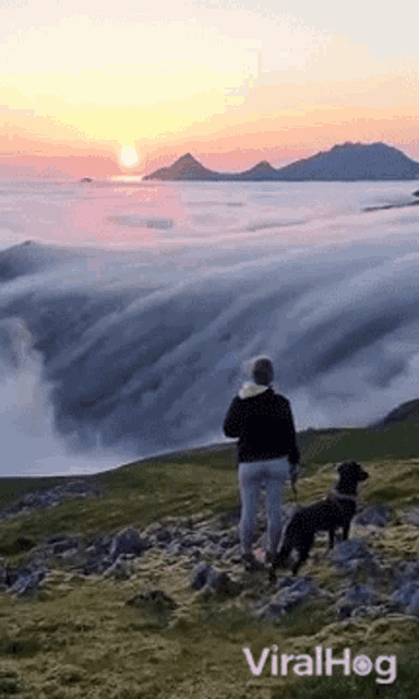 a woman and a dog are standing on top of a hill overlooking a body of water .