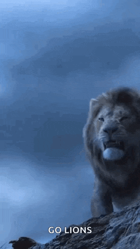 a lion standing on top of a rocky hill with the words go lions below it .