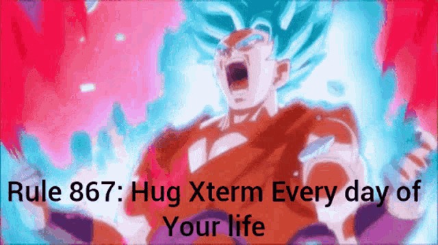 a picture of a cartoon character with the words rule 867 hug xterm every day of your life on it
