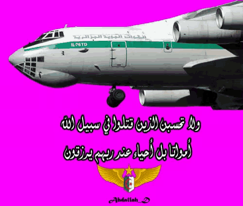 a picture of an airplane with arabic writing on the side