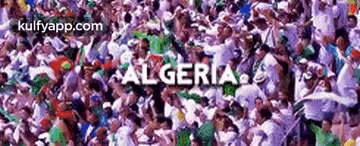 Algeria.Gif GIF - Algeria Person Human GIFs