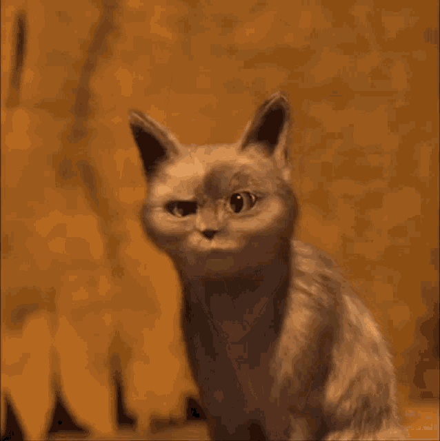 Kot Cat GIF - Kot Cat Kotek GIFs