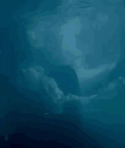 a man is swimming underwater in the ocean with his arm outstretched .
