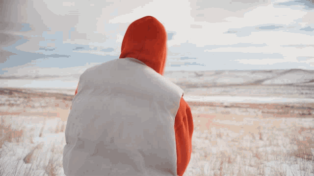a person wearing a red hoodie and a white vest stands in a snowy field