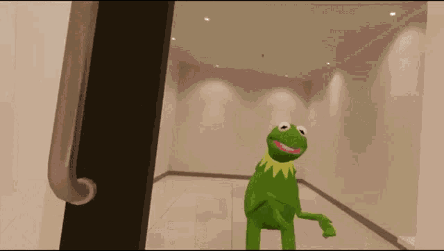 Pokój Wytrzeźwień Kermit GIF - Pokój Wytrzeźwień Kermit Marson GIFs