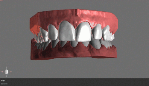 3d Teeth GIF