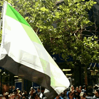 a green white and gray flag is flying in front of a crowd of people