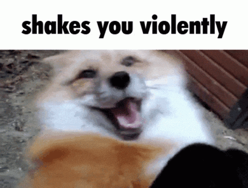 a picture of a dog with its mouth open and the words shakes you violently .