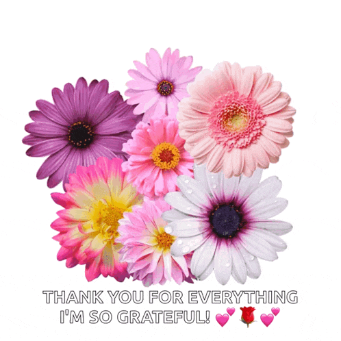 a bunch of flowers with the words thank you for everything i 'm so grateful written below them