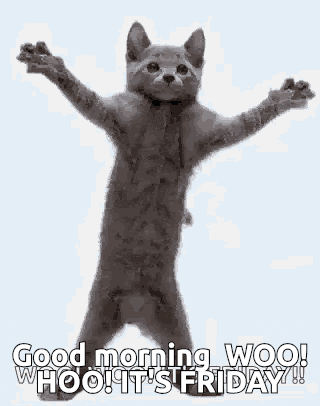 a cat is standing on its hind legs with its arms outstretched and says good morning woo whoo it 's friday