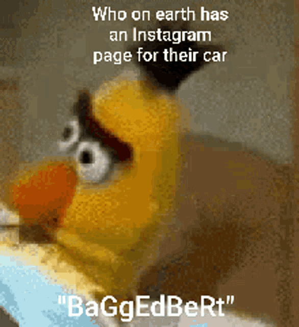 Baggedbert Instagram GIF