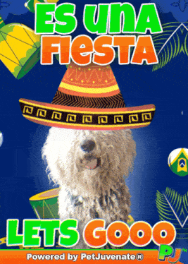 a poster with a dog wearing a sombrero that says es una fiesta let 's gooo