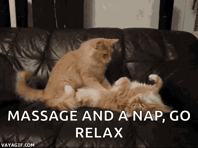 two cats are laying on a couch with the words massage and a nap go relax
