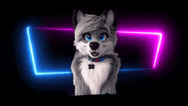a furry wolf with a blue collar and a tag that says 88