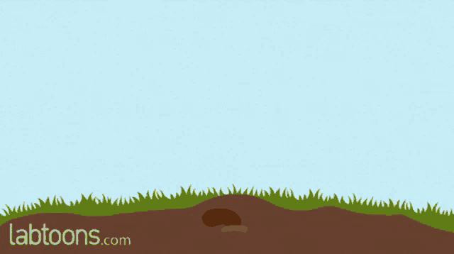 Plant Growth Stages GIF - Plant Growth Stages Life GIFs