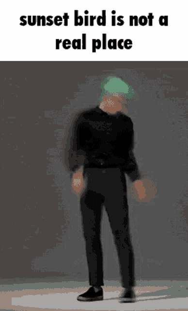 a man with green hair is standing in front of a sunset bird is not a real place .