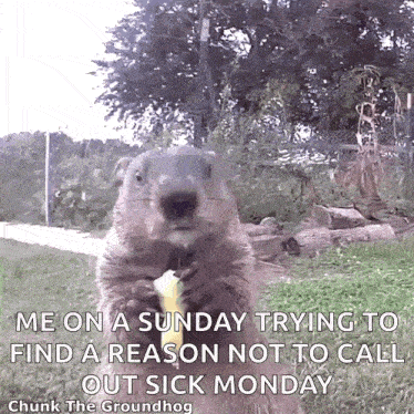 Chewing GIF