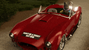 a cat is driving a red sports car with a bumper sticker that says " don t be a pussy eat one "