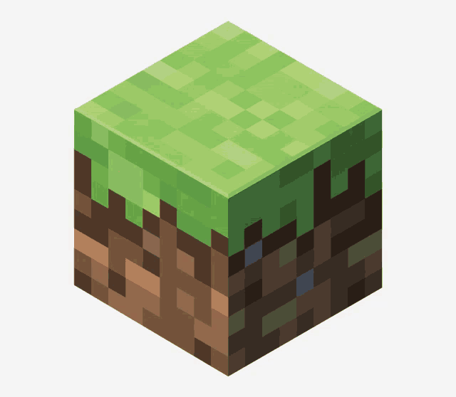 a minecraft block with a piece of grass on it