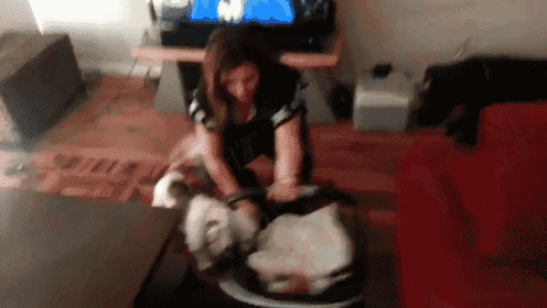 She Smells Delicous! GIF - Dog Baby Happy GIFs