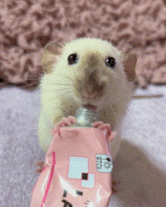 Mouse Frown GIF - Mouse Frown Smile GIFs