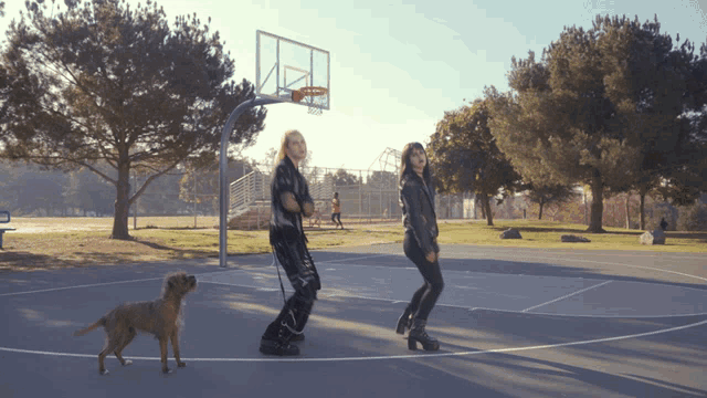 a woman walking a dog on a basketball court